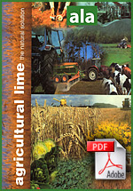 Download/view PDF